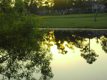Alligator Lake